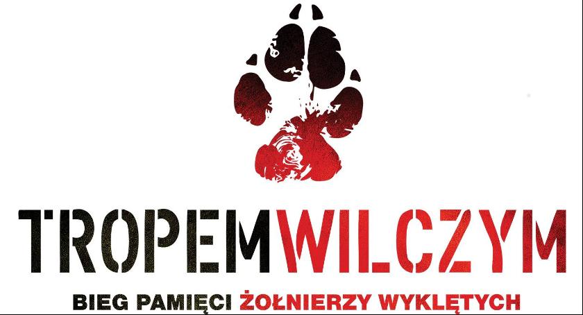 Bieg Tropem Wilczym w Szczuczynie